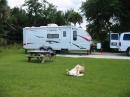 The dog (Sandy) anxious to get Field Day started!